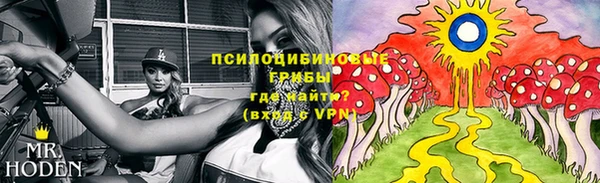 бутират Осташков