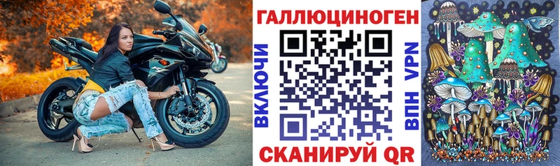 Галлюциногенные грибы Cubensis площадка телеграм Межгорье